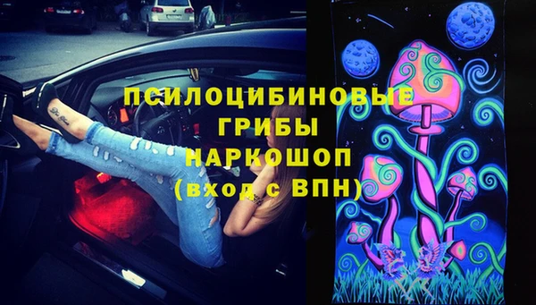 PSILOCYBIN Абаза