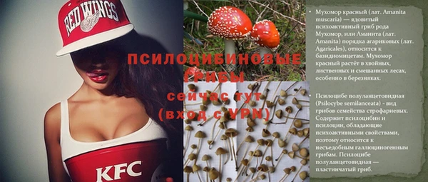 PSILOCYBIN Абаза