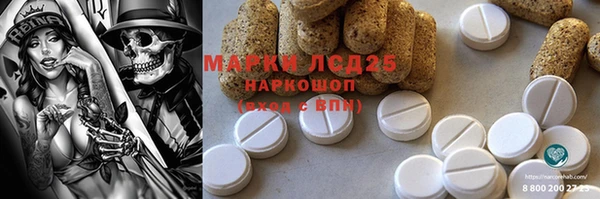 PSILOCYBIN Абаза
